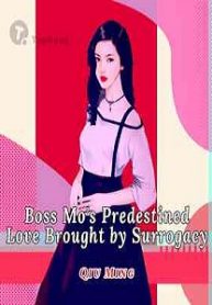 Boss Mo’s Predestined Love Brought by Surrogacy