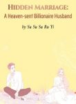 Hidden-Marriage-A-Heaven-sent-Billionaire-Husband