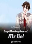 Stop-Messing-Around-Mr
